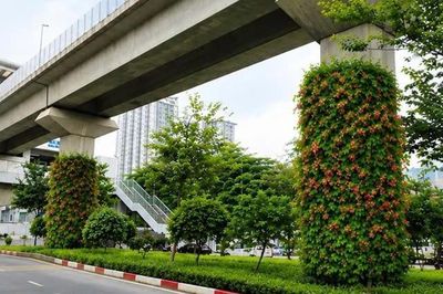 Hà Nội thí điểm phủ xanh trụ đường sắt, hầm chui và nhà chờ xe buýt