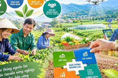 Làm thế nào khơi thông nguồn lực để phát triển nông nghiệp?