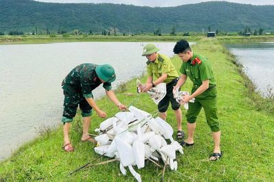 Hà Tĩnh tiêu hủy hơn 52.400 dụng cụ đánh bắt chim trời