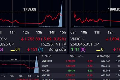 Xu hướng chứng khoán 8/10, dòng tiền vẫn dè dặt