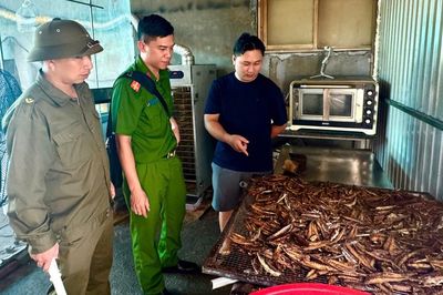 Kiểm tra Mộc Ngư Food, phát hiện hơn 80 kg cá đông lạnh không rõ nguồn gốc