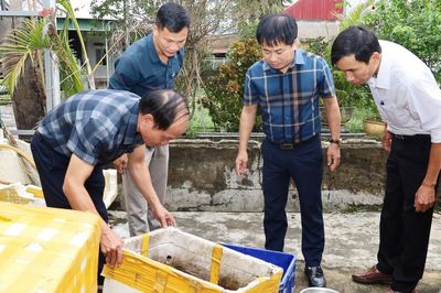 Hà Tĩnh ghi nhận ổ dịch sốt xuất huyết với 9 ca mắc