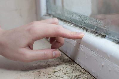 Nấm mốc trong nhà liên quan thế nào đến các triệu chứng hô hấp, dị ứng?