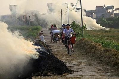 Hà Nội yêu cầu ngăn chặn và xử lý nghiêm các trường hợp đốt rơm rạ