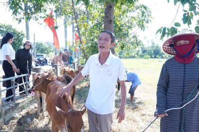 Hà Tĩnh: Trao sinh kế, mở hướng phục hồi sản xuất cho người dân sau thiên tai