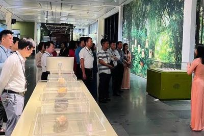 Khơi thông nguồn lực, phát huy năng lực lĩnh vực bảo tồn, bảo tàng