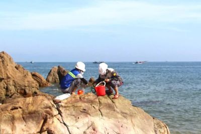 Quảng Trị: Cá biển chết không phải do ô nhiễm môi trường nước