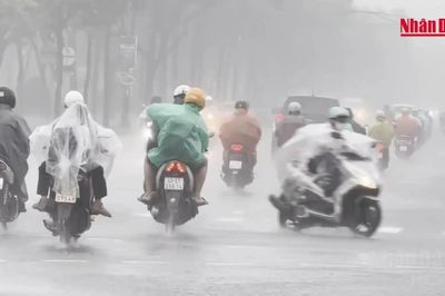 [Video] Cảnh báo lũ quét, sạt lở đất tại 4 tỉnh, thành phố miền trung