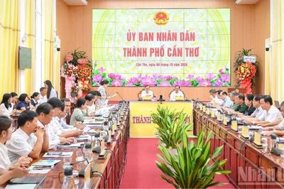 Cần Thơ chuẩn bị 25.000 chậu lúa phục vụ Festival quốc tế ngành hàng lúa gạo Việt Nam