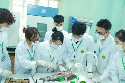 Đại học cần lấy hiệu quả ứng dụng vào thực tiễn làm thước đo nghiên cứu