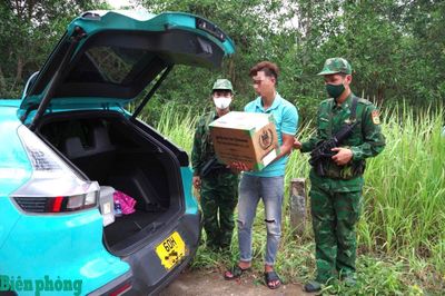 Chặt đứt đường dây vận chuyển ma túy từ Campuchia vào Việt Nam