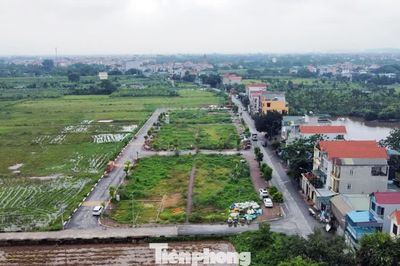 Quy định thế nào là đất bỏ hoang, bị đánh thuế?
