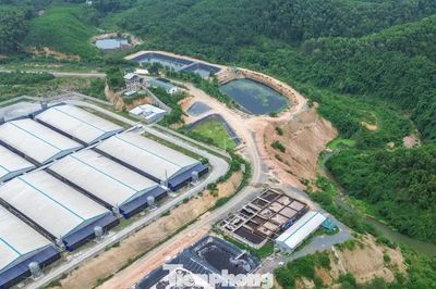 Xử phạt trang trại nuôi gần 80.000 con lợn