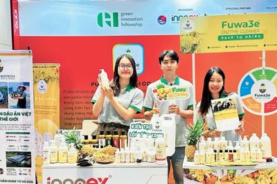 Vỏ dứa Việt chinh phục thị trường Âu - Mỹ