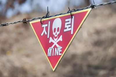 Phát hiện mìn sát thương Triều Tiên trên bờ biển Hàn Quốc