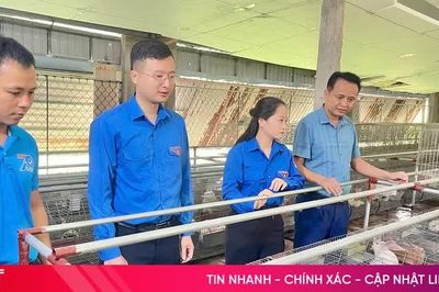 Nhiều hoạt động hướng tới kỷ niệm 70 năm ngày truyền thống Hội LHTN của tuổi trẻ Hà Tĩnh