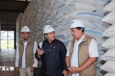 Indonesia thu mua hơn 4 triệu tấn gạo trong nước, vượt mục tiêu cả năm