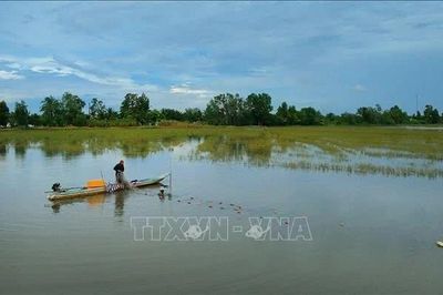 Mùa nước nổi và những giá trị phát triển cho Cần Thơ