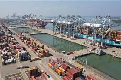 Hai cảng biển Cái Mép – Thị Vải lần đầu vận hành chung bến cảng