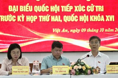 Đại biểu quốc hội đề nghị giải quyết ngay những kiến nghị cấp thiết của người dân ở Đà Nẵng