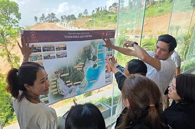 Đà Nẵng: 9 tháng doanh thu kinh doanh bất động sản tăng hơn 24%