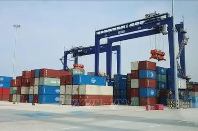 WTO nâng dự báo tăng trưởng thương mại toàn cầu