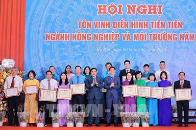 Tôn vinh điển hình tiên tiến ngành nông nghiệp và môi trường năm 2026