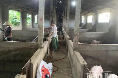 Tái đàn, tăng đàn vật nuôi những tháng cuối năm