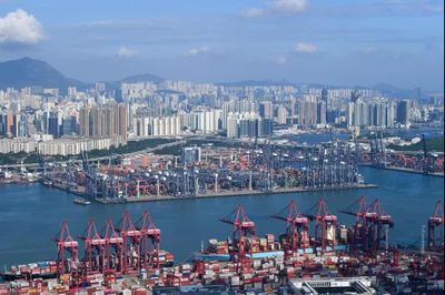 WTO nâng dự báo tăng trưởng thương mại hàng hóa toàn cầu nhờ bùng nổ AI