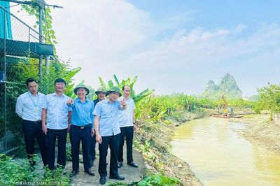 Khẩn trương khơi thông dòng chảy, hạn chế ngập úng tại các khu dân cư