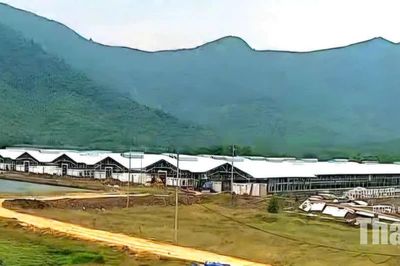 Đẩy nhanh tiến độ dự án chăn nuôi gà thịt công nghệ cao tại Mậu Lâm