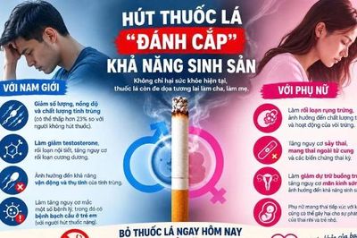 Thuốc lá đe dọa khả năng sinh sản của cả nam và nữ