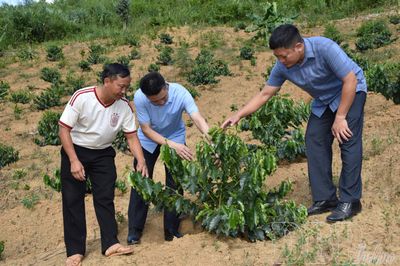 Cây trồng mới ở Thộ Lộ