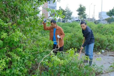 Những người tình nguyện làm sạch đường phố
