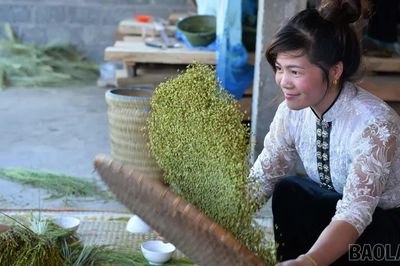 Tú Lệ thu khoảng 260 tỷ đồng mỗi năm từ sản xuất cốm