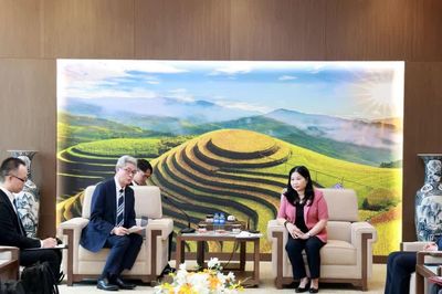 Phó Chủ tịch UBND tỉnh Vũ Thị Hiền Hạnh tiếp, làm việc với doanh nghiệp và trường đại học Nhật Bản