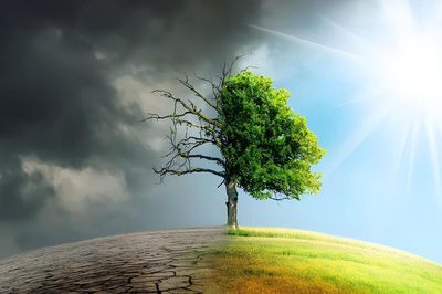 Châu Á trong cuộc đua thích ứng với biến đổi khí hậu