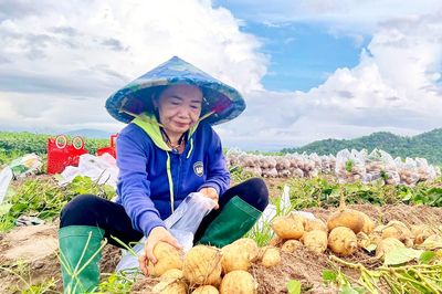 Từ thông tin thị trường đến sinh kế bền vững ở Ba Chúc (An Giang)