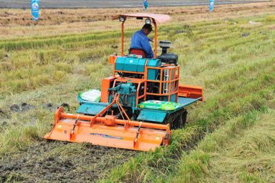 Giúp nông dân tiếp cận kỹ thuật xử lý rơm rạ hiệu quả
