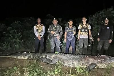 Chuyến câu cá bất ngờ biến thành cuộc 'chạm trán' với 'quái thú' khổng lồ dài hơn 4,5m, nặng trên 1 tấn dưới sông