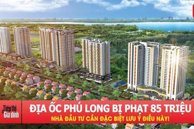 Địa Ốc Phú Long bị phạt 85 triệu đồng: Nhà đầu tư cần đặc biệt lưu ý điều này