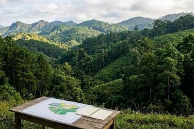 Lâm Đồng đôn đốc hoàn thiện phương án quản lý rừng bền vững