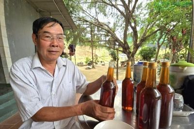 Làm giàu nhờ mô hình nuôi ong lấy mật của 'lão nông' xứ Nghệ
