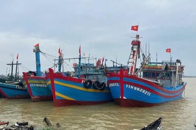Ngư dân Huế trúng đậm cá bò, thu tiền tỉ sau hai chuyến đi biển