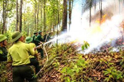 Đắk Lắk chủ động ứng phó El Niño, phòng hạn hán thiếu nước, cháy rừng mùa khô 2026-2027
