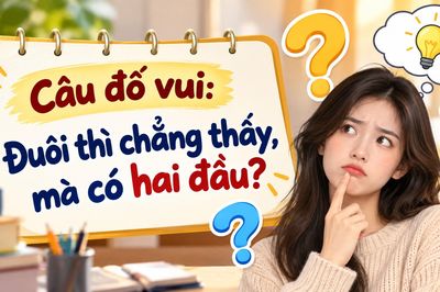 Câu đố 'Đuôi chẳng thấy, có hai đầu': Đáp án khiến nhiều người bất ngờ