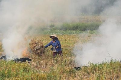 Hà Nội yêu cầu các xã, phường xử lý nghiêm hành vi đốt rơm rạ