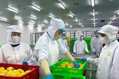 Rau quả xuất khẩu tăng tốc, nâng giá trị để đi xa