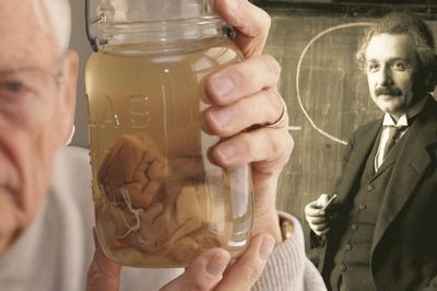 Chuyện gì đã xảy ra với bộ não thiên tài của Albert Einstein sau khi ông qua đời?