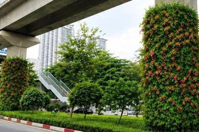 Hà Nội thí điểm phủ xanh 4 vị trí hạ tầng giao thông trọng điểm